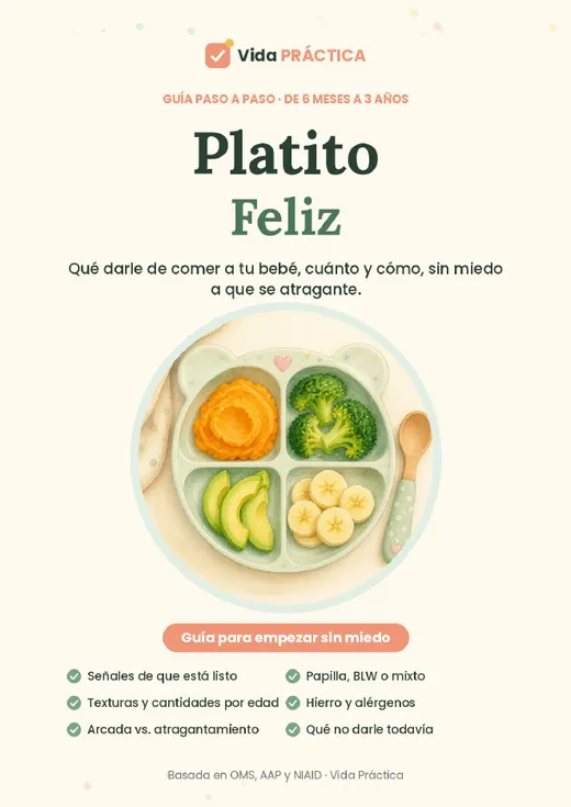 Guía